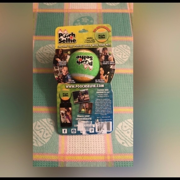 Pooch Selfie - Picture 2 of 2